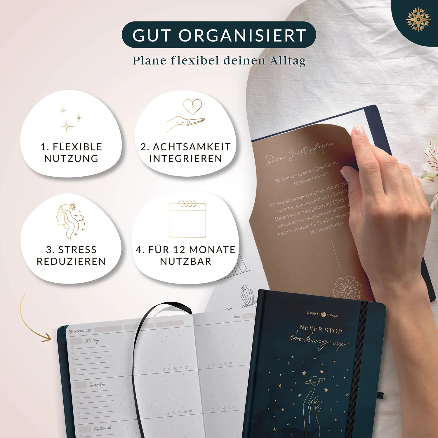 Terminplaner undatiert - DIN A5 - Image 20