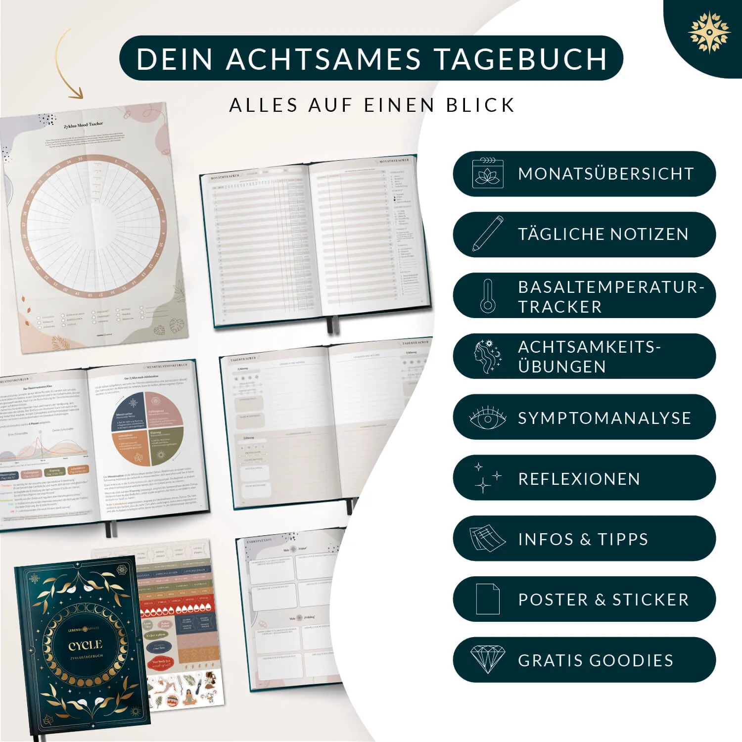 Zyklustagebuch "CYCLE" - mit Poster DIN A5 - Image 9